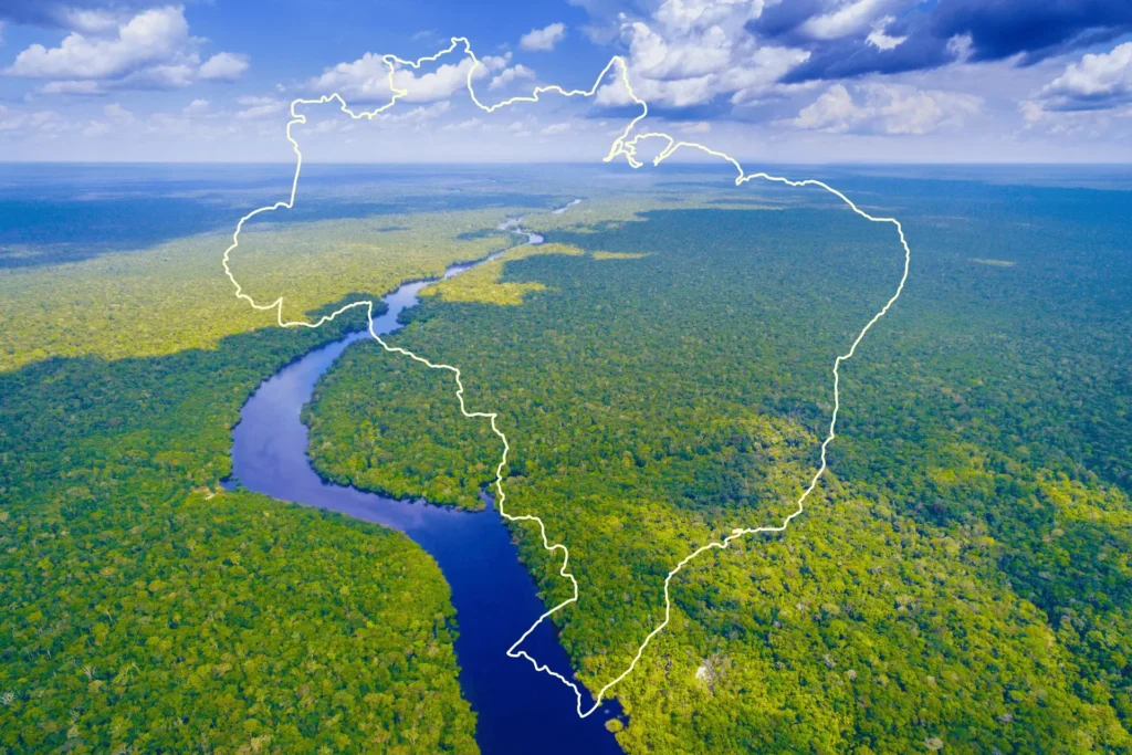 Conexao com o pais - Brasil